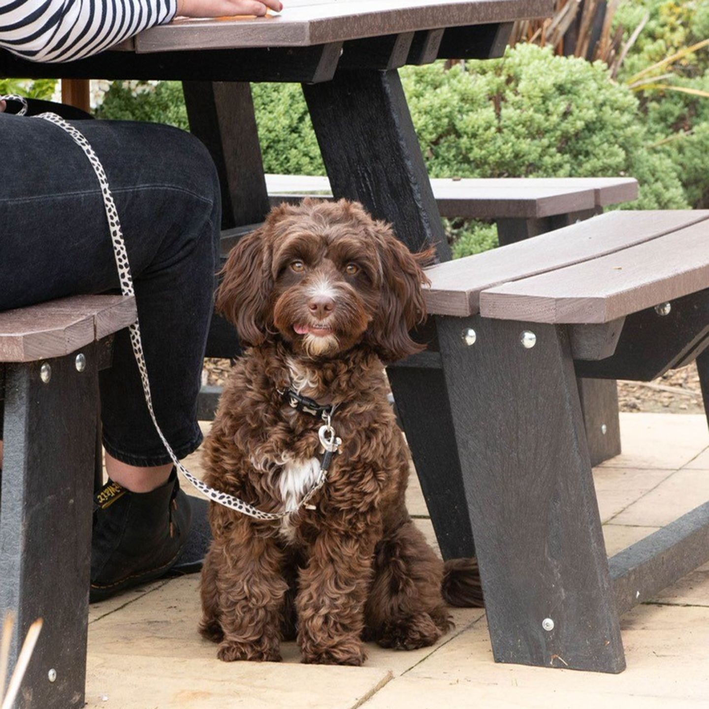Your local dog friendly pub in Arnold